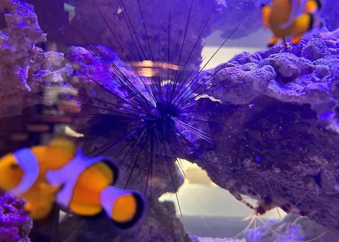 Horská chata Le Grand Cerf Piscine Et